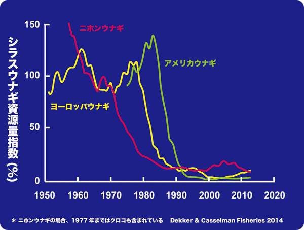 シラスとクロコ